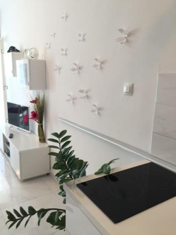 זאדאר Cute Studio-Great Location מראה חיצוני תמונה